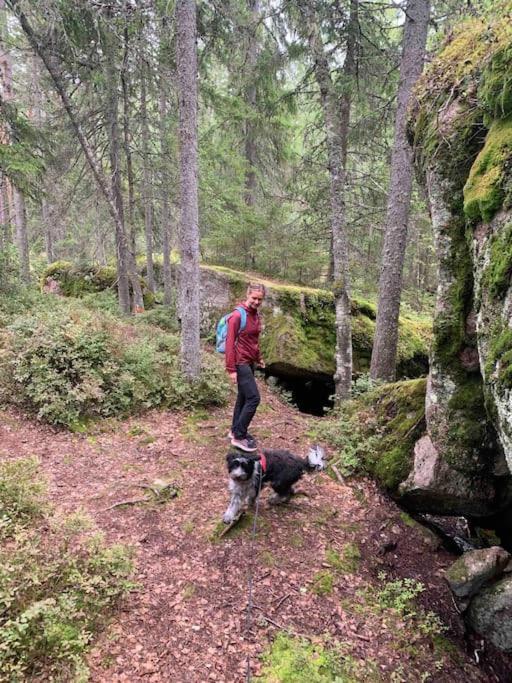 Egen Stuga Och Vedeldad Bastu Linghed Экстерьер фото