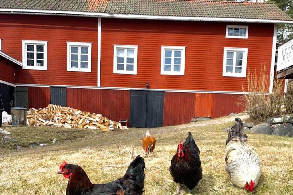 Egen Stuga Och Vedeldad Bastu Linghed Экстерьер фото