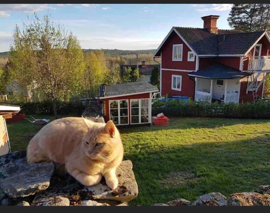 Egen Stuga Och Vedeldad Bastu Linghed Экстерьер фото